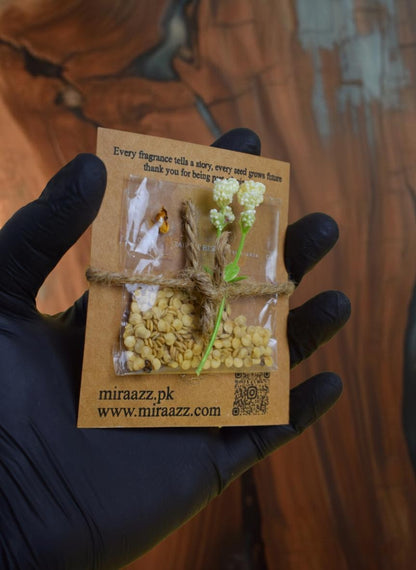 💫 Miraazz Perfume Tester Set (Pack of 3) with Premium Leather Pouch